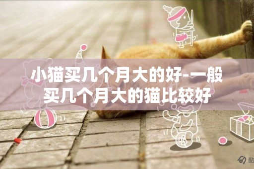小貓買幾個月大的好-一般買幾個月大的貓比較好