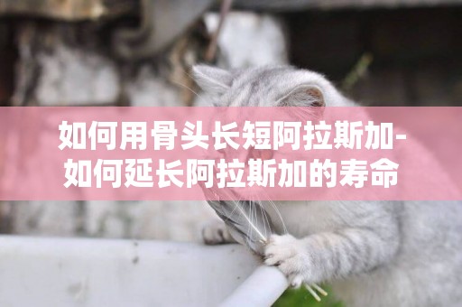 如何用骨頭長短阿拉斯加-如何延長阿拉斯加的壽命