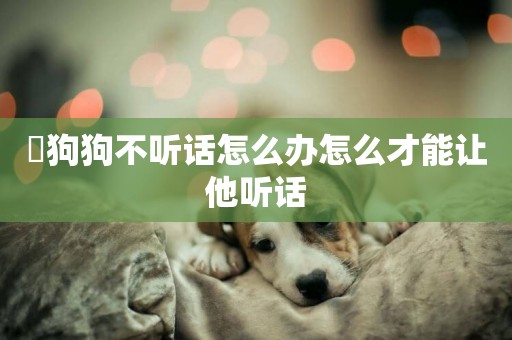 ?狗狗不聽話怎么辦怎么才能讓他聽話