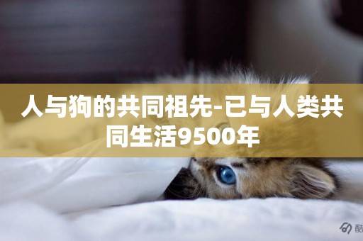 人與狗的共同祖先-已與人類共同生活9500年