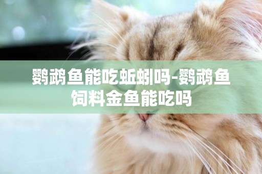 鸚鵡魚能吃蚯蚓嗎-鸚鵡魚飼料金魚能吃嗎