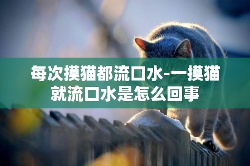 每次摸貓都流口水-一摸貓就流口水是怎么回事