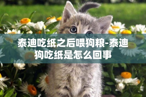 泰迪吃紙之后喂狗糧-泰迪狗吃紙是怎么回事