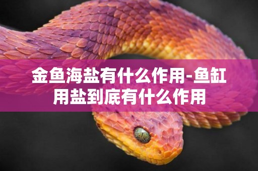 金魚海鹽有什么作用-魚缸用鹽到底有什么作用