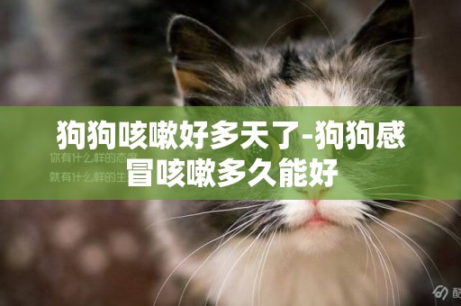狗狗咳嗽好多天了-狗狗感冒咳嗽多久能好