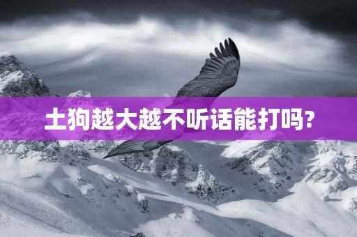 土狗越大越不聽話能打嗎?