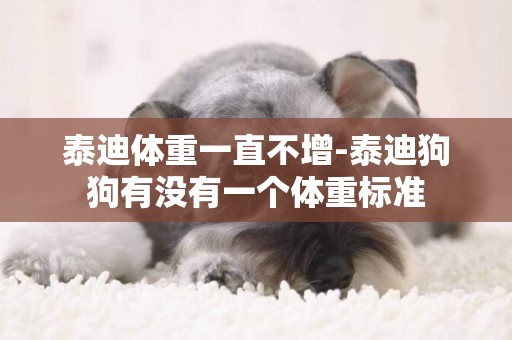 泰迪體重一直不增-泰迪狗狗有沒有一個體重標準