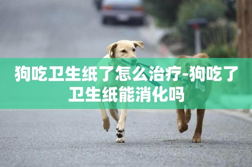 狗吃衛生紙了怎么治療-狗吃了衛生紙能消化嗎