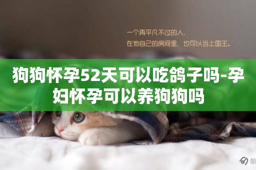 狗狗懷孕52天可以吃鴿子嗎-孕婦懷孕可以養狗狗嗎