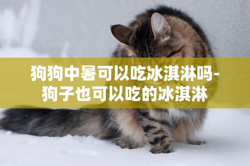 狗狗中暑可以吃冰淇淋嗎-狗子也可以吃的冰淇淋