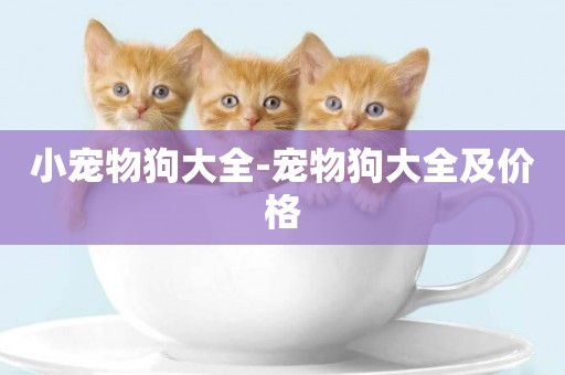 小寵物狗大全-寵物狗大全及價格