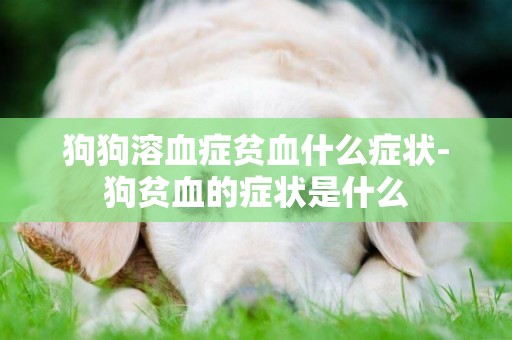 狗狗溶血癥貧血什么癥狀-狗貧血的癥狀是什么