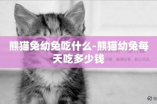 熊貓兔幼兔吃什么-熊貓幼兔每天吃多少錢