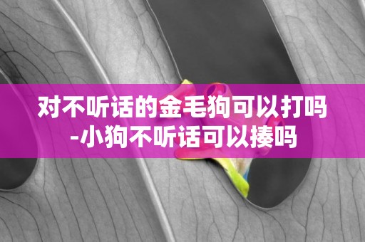 對不聽話的金毛狗可以打嗎-小狗不聽話可以揍嗎