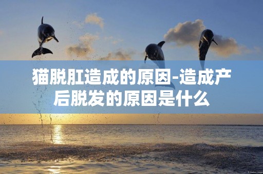 貓脫肛造成的原因-造成產后脫發的原因是什么