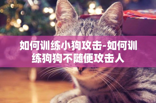 如何訓練小狗攻擊-如何訓練狗狗不隨便攻擊人