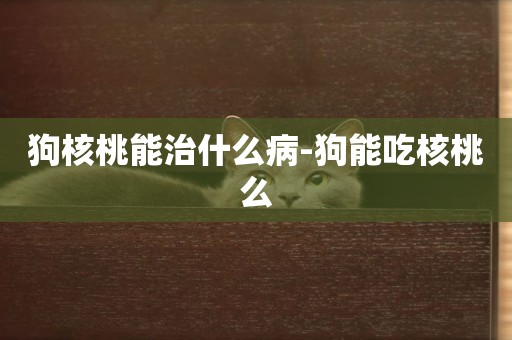狗核桃能治什么病-狗能吃核桃么