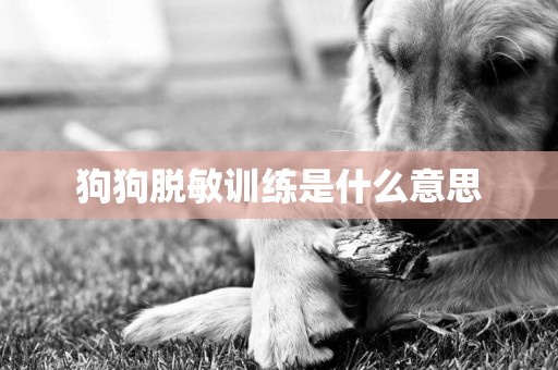 狗狗脫敏訓練是什么意思