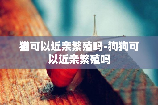 貓可以近親繁殖嗎-狗狗可以近親繁殖嗎