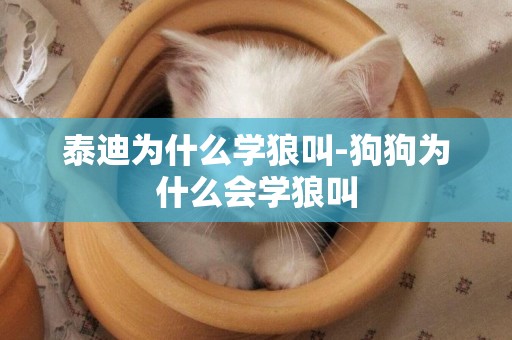 泰迪為什么學狼叫-狗狗為什么會學狼叫
