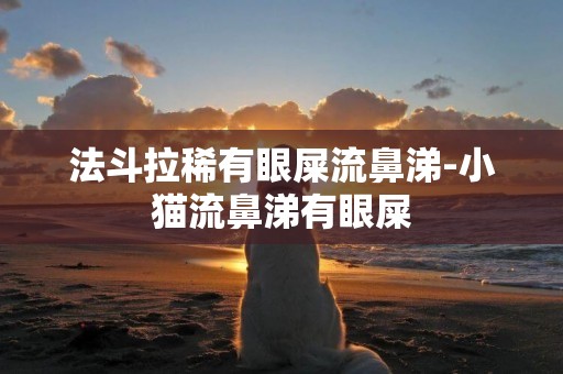 法斗拉稀有眼屎流鼻涕-小貓流鼻涕有眼屎