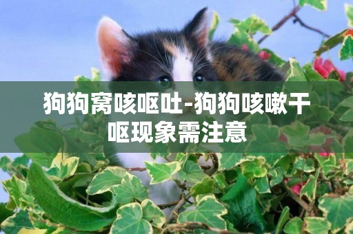 狗狗窩咳嘔吐-狗狗咳嗽干嘔現象需注意