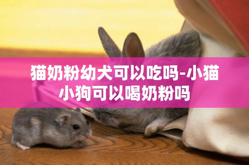 貓奶粉幼犬可以吃嗎-小貓小狗可以喝奶粉嗎