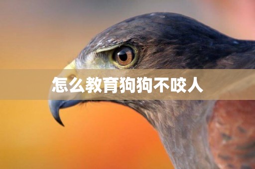 怎么教育狗狗不咬人