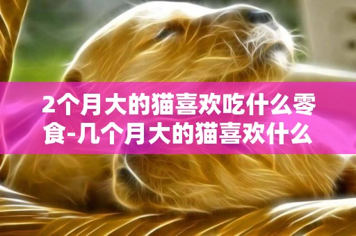 2個月大的貓喜歡吃什么零食-幾個月大的貓喜歡什么
