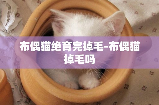 布偶貓絕育完掉毛-布偶貓掉毛嗎