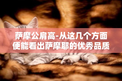 薩摩公肩高-從這幾個方面便能看出薩摩耶的優秀品質