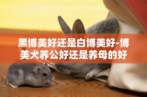 黑博美好還是白博美好-博美犬養公好還是養母的好