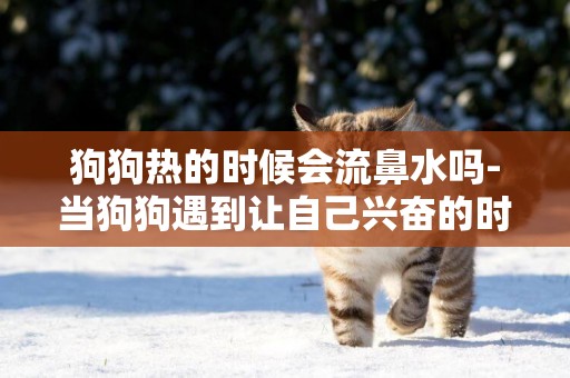 狗狗熱的時候會流鼻水嗎-當狗狗遇到讓自己興奮的時候就會流口水