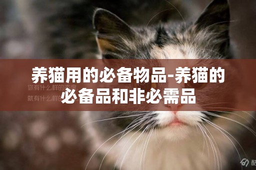 養貓用的必備物品-養貓的必備品和非必需品