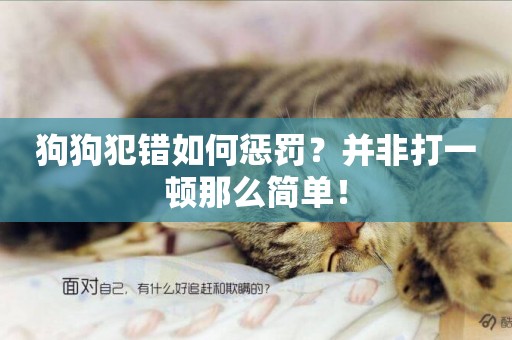 狗狗犯錯如何懲罰？并非打一頓那么簡單！