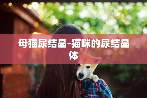 母貓尿結晶-貓咪的尿結晶體