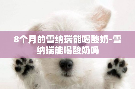 8個月的雪納瑞能喝酸奶-雪納瑞能喝酸奶嗎