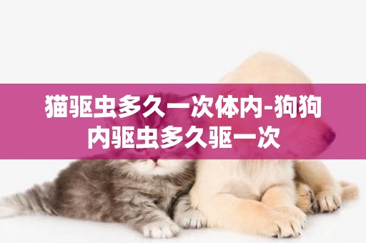 貓驅蟲多久一次體內-狗狗內驅蟲多久驅一次