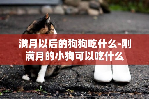 滿月以后的狗狗吃什么-剛滿月的小狗可以吃什么