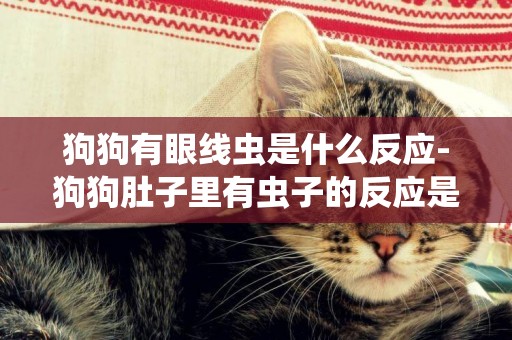 狗狗有眼線蟲是什么反應-狗狗肚子里有蟲子的反應是什么