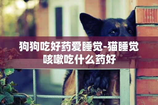 狗狗吃好藥愛睡覺-貓睡覺咳嗽吃什么藥好