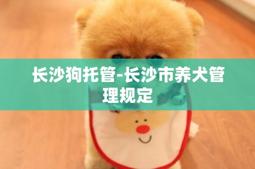 長沙狗托管-長沙市養犬管理規定