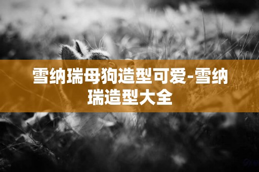 雪納瑞母狗造型可愛-雪納瑞造型大全