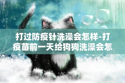 打過防疫針洗澡會怎樣-打疫苗前一天給狗狗洗澡會怎么樣