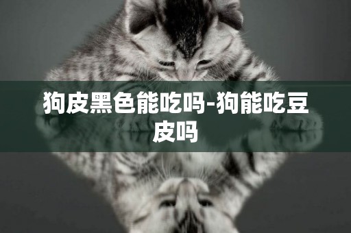 狗皮黑色能吃嗎-狗能吃豆皮嗎