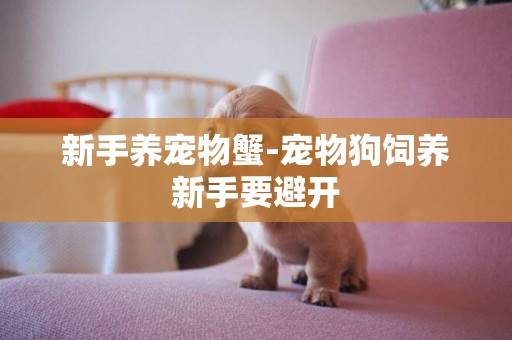 新手養寵物蟹-寵物狗飼養新手要避開