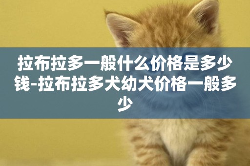 拉布拉多一般什么價格是多少錢-拉布拉多犬幼犬價格一般多少