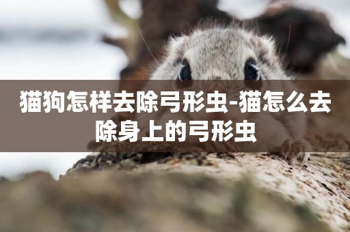 貓狗怎樣去除弓形蟲-貓怎么去除身上的弓形蟲