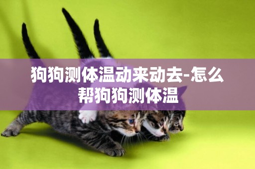 狗狗測體溫動來動去-怎么幫狗狗測體溫