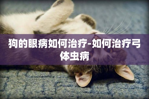 狗的眼病如何治療-如何治療弓體蟲病